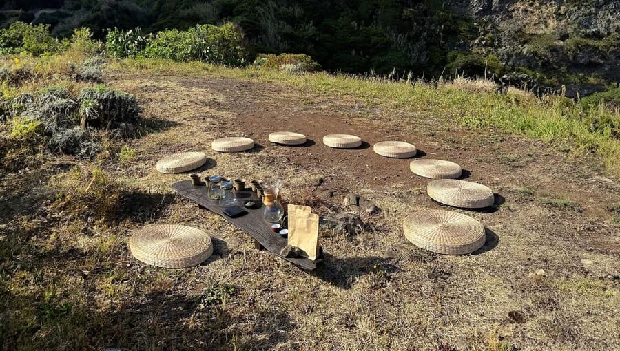 Mindful Tea Ceremony in Hidden Nature of Madeira - What Roman adds beyond the tea table