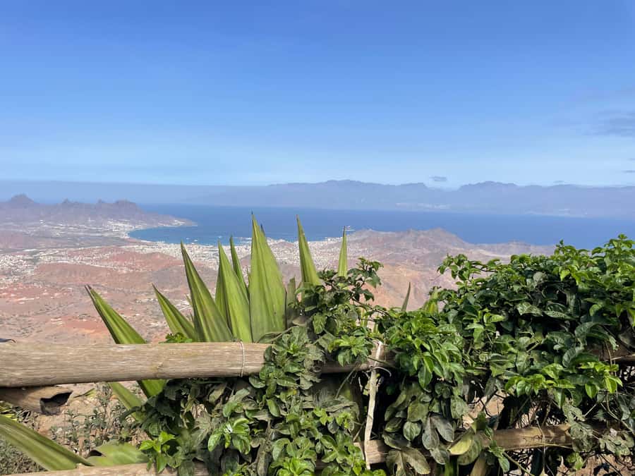 Monte Verde by Car & Tea House – São Vicente’s Highest Point - The Tea House stop keeps the summit visit relaxed