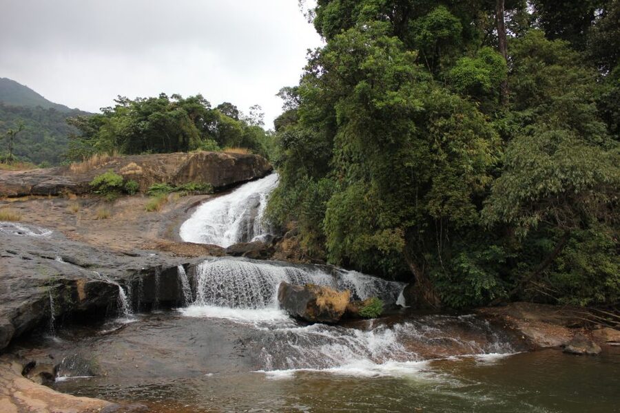 Munnar: Tea Garden and Elephant Safari Trip by 4x4 - Tea at Letchmi Estate and the First Hill Views
