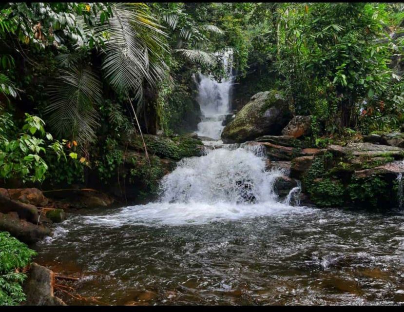 Munnar: Tea Garden and Elephant Safari Trip by 4x4 - What the $98 Group Price Covers