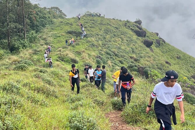 Munnar Tea Plantation Evening walking with Sunset View - Booking, cancellation, and practical details