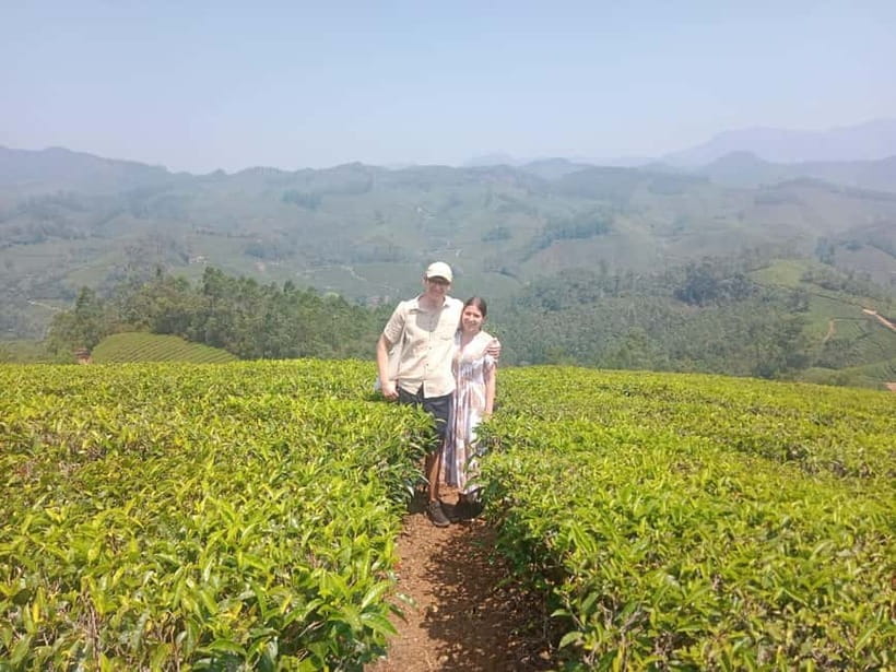 Munnar: Tea trail, Tea Factory, and Tea Tasting Tour - Five things to know before you book