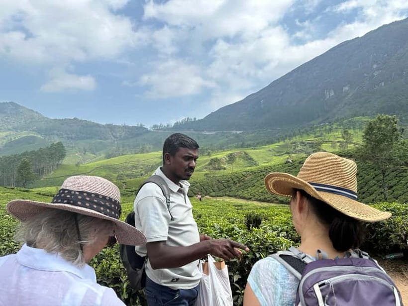 Munnar: Tea trail, Tea Factory, and Tea Tasting Tour - Why this small tour works so well in Munnar