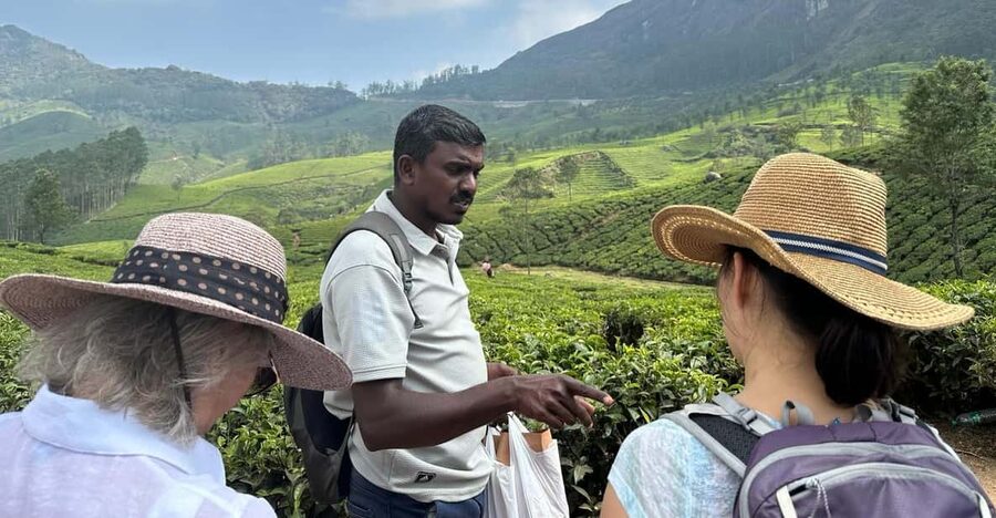 Munnar: Tea trail, Tea Factory, and Tea Tasting Tour - Inside Lockhart Tea Factory