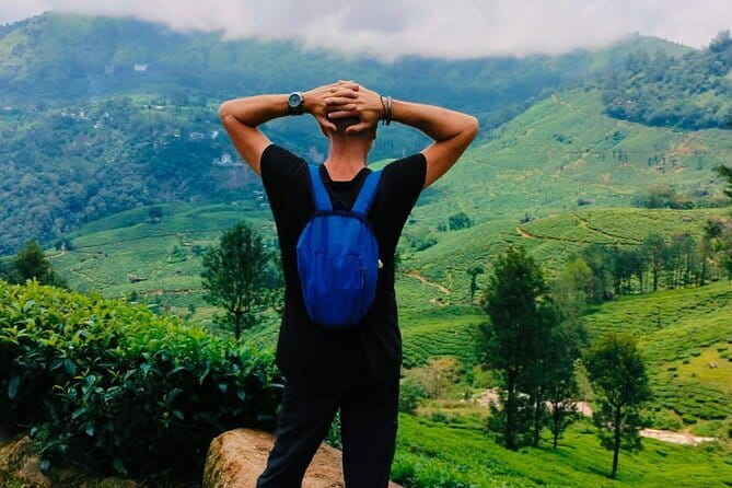 Munnar Tea Trail Tour , Tea factory visit & Tea Tasting - Why this Munnar tea tour is worth considering