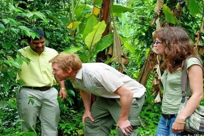 Munnar Tea valley Tour ( By Munnar Info) - Key points to know before booking
