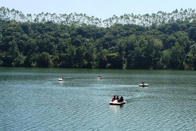 Munnar Tea valley Tour ( By Munnar Info) - What this Munnar day tour actually feels like