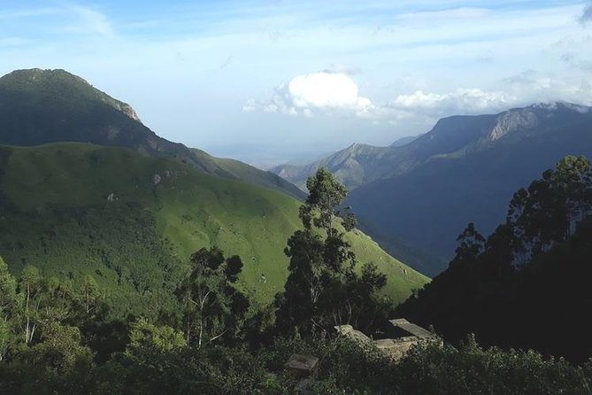 Munnar Tea valley Tour ( By Munnar Info) - Cinnamon Gardens begins with Munnar’s spice trade