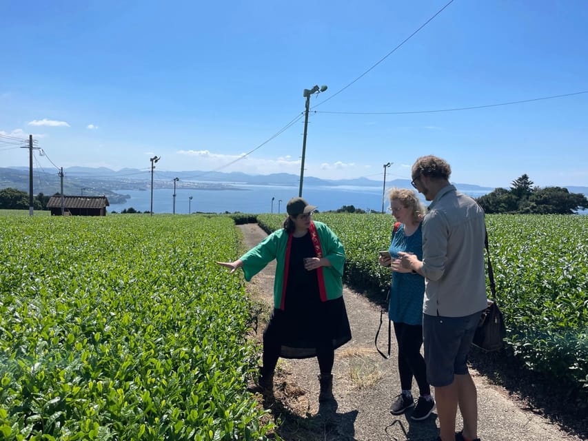 Nagasaki: Explore Japanese Teas on a Tea Tour - Why Sonogi Makes a Better Tea Stop Than a Tasting Room