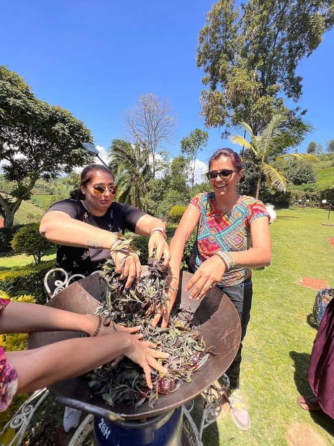 Nairobi: Purple Tea Farm Gatura Greens Day Trip - The bamboo forest walk and waterfall swim