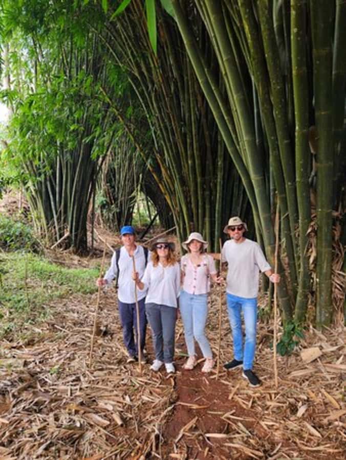 Nairobi: Purple Tea Farm Gatura Greens Day Trip - Who will enjoy Gatura Greens most