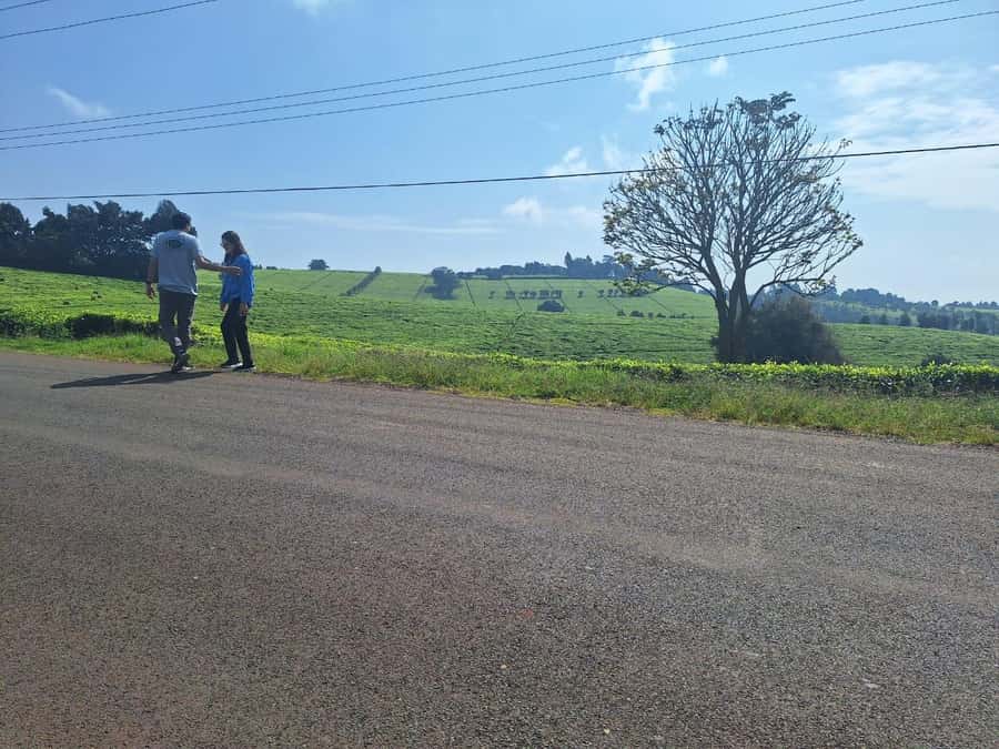 Nairobi: Tea Farm Day Trip with Lunch at kiambethu - Price, the extra fee, and overall value