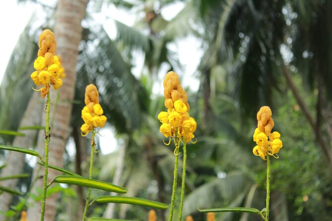 Nandana Tea Walking Tour in Sri Lanka - Seven teas make the tasting worthwhile