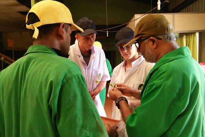 Nandana Tea Walking Tour in Sri Lanka - The optional Sri Lankan meal