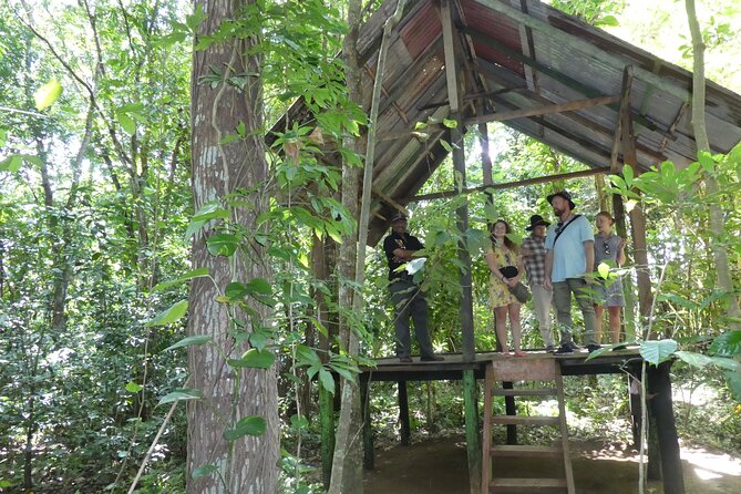 Nandana Tea Walking Tour in Sri Lanka - What the $78 price buys you
