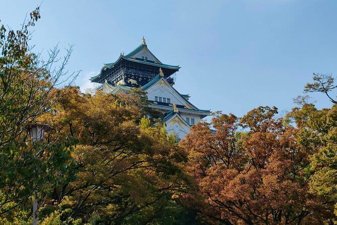 Nara Deer Park, Uji Matcha, & Hot Spring Full-Day Tour from Osaka - Byodo-in and the Phoenix Hall