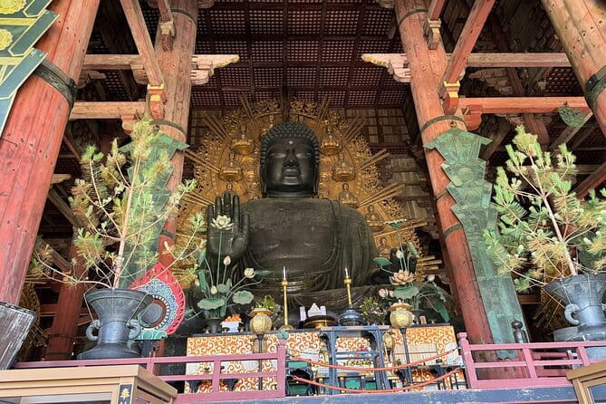 Nara：Private Tea Ceremony(Max 5 ppl) -Master Matcha Making- - What the price gives you at $50.85 per person
