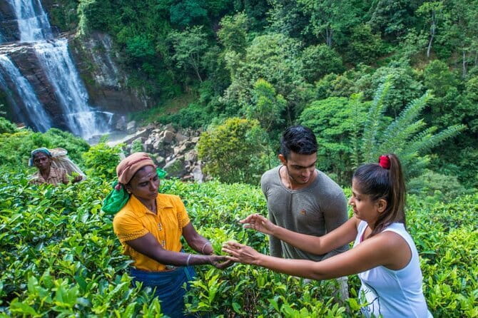 Nuwara Eliya Highlights: Waterfall, Tea & Picturesque Train Ride - A long hill-country day from Kandy