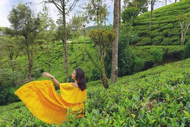 Nuwara Eliya Highlights: Waterfall, Tea & Picturesque Train Ride - Pedro Tea Factory and the hills around Nuwara Eliya