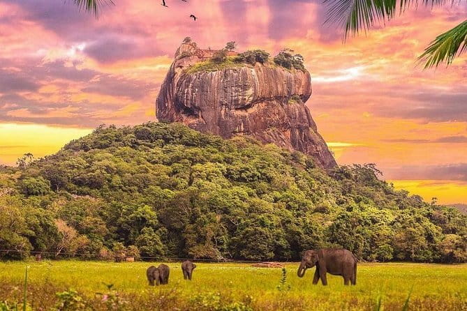Nuwara Eliya Highlights: Waterfall, Tea & Picturesque Train Ride - Who should book this day