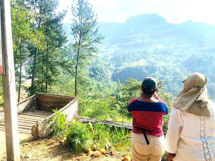 Nuwara Eliya: Tea Factory and Pickle Waterfalls Tuk Tuk Tour - What makes the guides valuable
