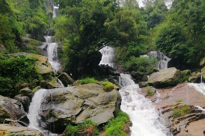 Nuwara Eliya Tea factory and waterfall tour - Why this tea and waterfall combination works