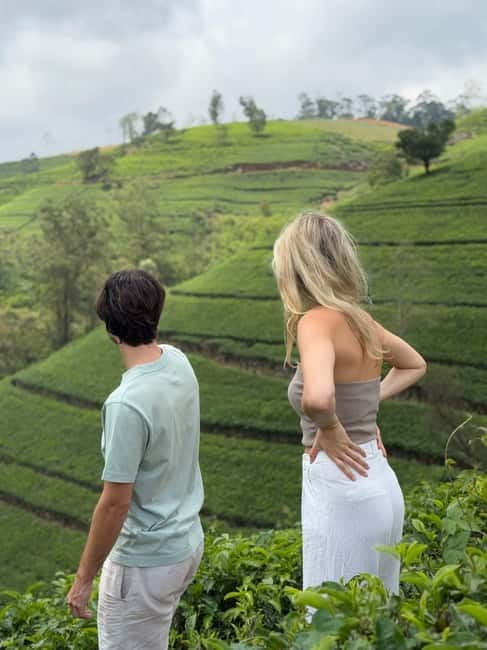 Nuwara Eliya Tea & Ramboda Falls Taxi tours for 5 pax - Key points at a glance