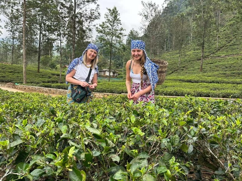 Nuwara Eliya Tea & Ramboda Falls Taxi tours for 5 pax - Ramboda Falls, the big natural stop