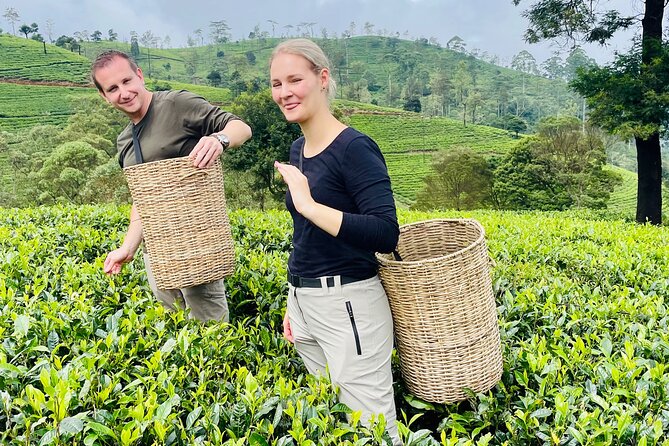 NuwaraEliya Tea Factory,Plantation & Water Falls Hike Tour by Car - Ramboda Falls adds the scenic payoff