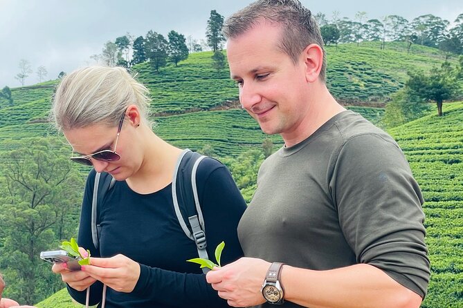 NuwaraEliya Tea Factory,Plantation & Water Falls Hike Tour by Car - What the private car changes