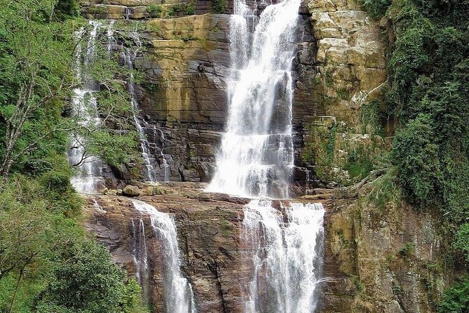 NuwaraEliya Tea Factory,Plantation & Water Falls Hike Tour by Car - Trying tea picking in the fields