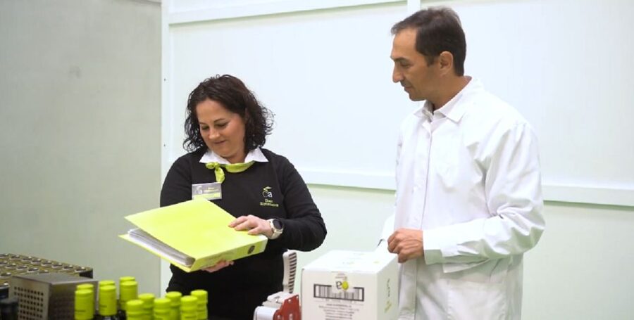OleoAlmanzora: Guided tour + EVOO Breakfast/Afternoon tea - Is $31 a Fair Price?