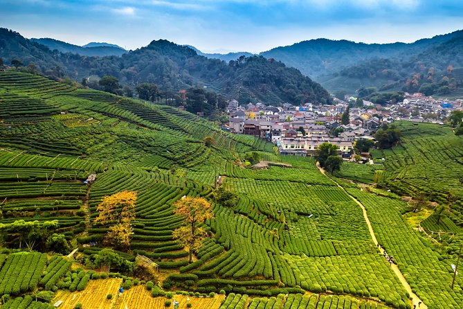 One-Day Hangzhou Dragon Well Tea Culture & West Lake Private Tour - Meijiawu Tea Village and the real Dragon Well connection