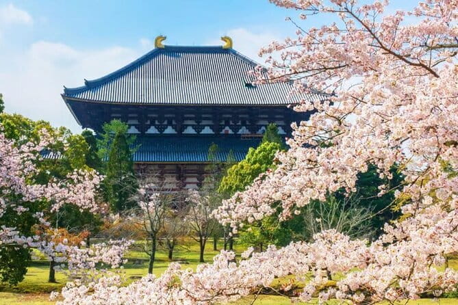 Osaka: Nara, Todaiji, Uji Matcha, and Hot Spring Tour - Tōdai-ji and the Great Buddha: the day’s major sight