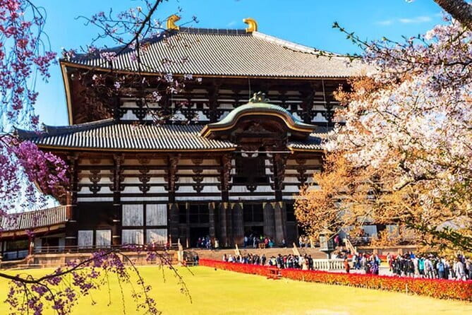 Osaka: Nara, Todaiji, Uji Matcha, and Hot Spring Tour - Nara Park and the deer: the easiest win of the day