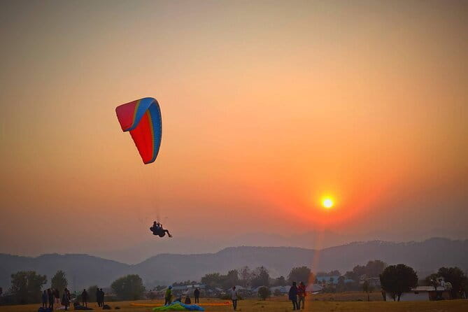 Palampur and Bir Tour, Tea Gardens, Adventures and Paragliding - A full Kangra Valley day from Dharamsala