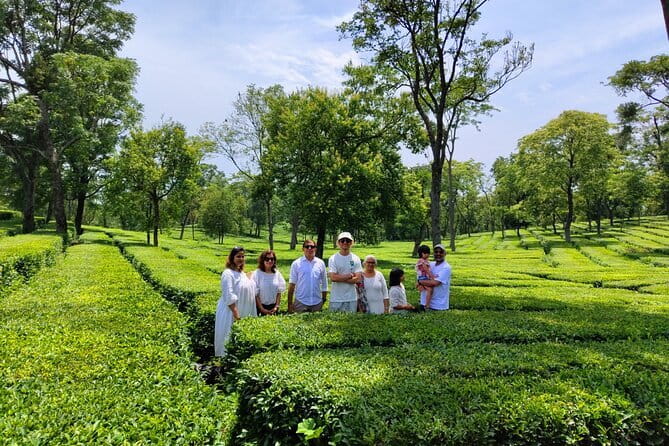 Palampur Tea Garden Tour - Key points at a glance