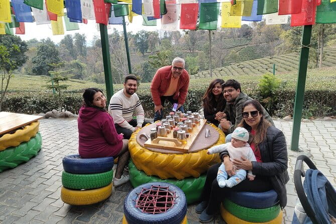 Palampur Tea Garden Tour - Why Palampur works so well for a tea day