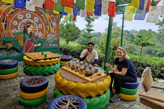Palampur Tea Garden Tour - Price, weather, and the practical trade-offs