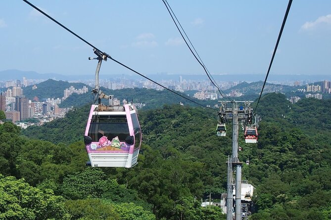 Pinglin Tea Culture & Maokong Day Tour from Taipei - Shenkeng and Elephant Mountain need route confirmation