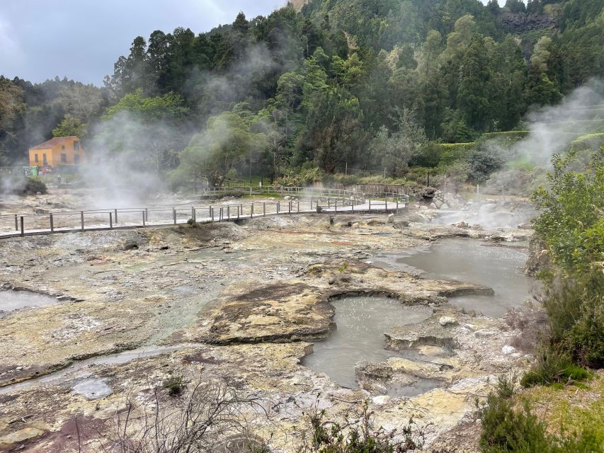 Privat van tour Furnas valley, Gorreana tea – islands gems - Key points to know before booking