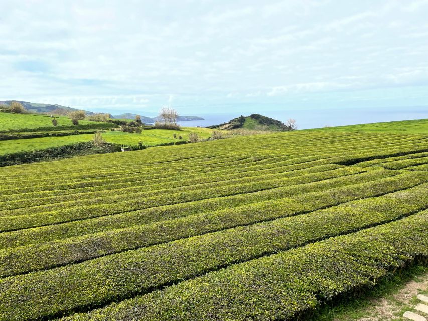 Privat van tour Furnas valley, Gorreana tea – islands gems - Two chapels close the route with quieter views