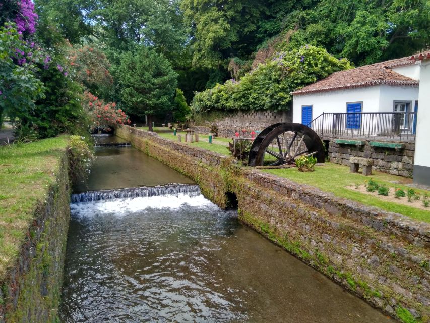 Privat van tour Furnas valley, Gorreana tea – islands gems - A full day built around São Miguel’s volcanic heart