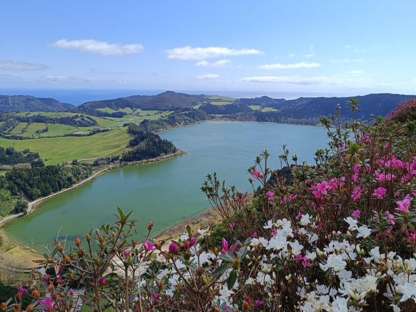 Privat van tour Furnas valley, Gorreana tea – islands gems - Furnas fumaroles make the volcano feel close