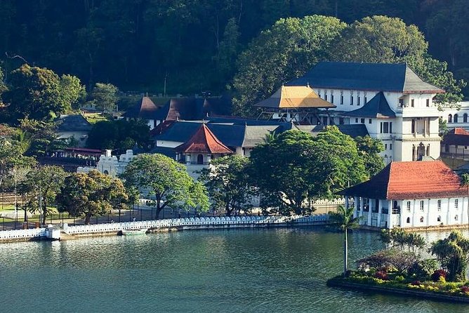 Private day tour kandy to nuwara eliya tea plantation - Blue Field Tea Factory: see how the tea is made