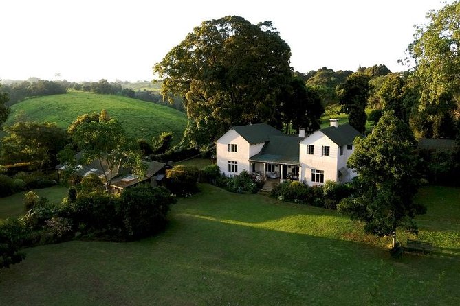 Private Day Trip to Kiambethu Tea Farm in Limuru from Nairobi - The indigenous forest, gardens, birds, and Colobus monkeys