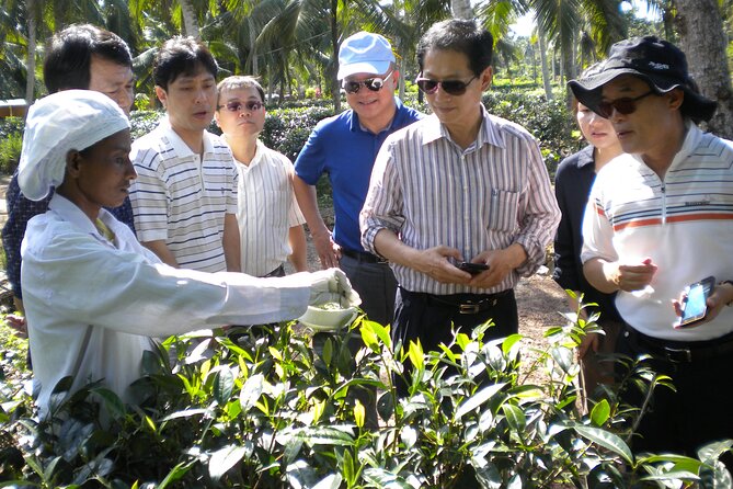 Private Galle Day Tour with Boat Safari & Tea Factory Visit - All Inclusive - One hour inside Galle Dutch Fort