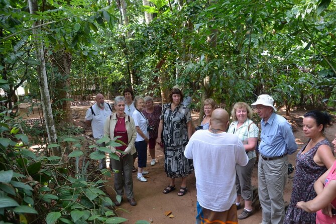 Private Galle Day Tour with Boat Safari & Tea Factory Visit - All Inclusive - Lunch, water, and what all-inclusive really covers