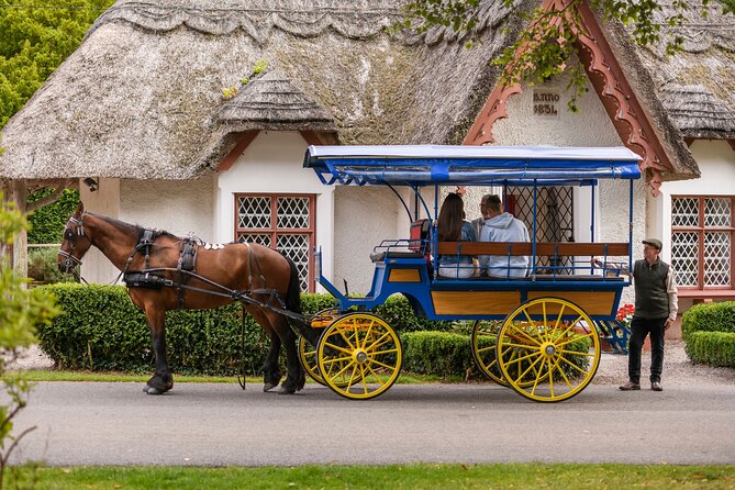 Private Jaunting Tour and Afternoon Tea in Killarney - Why this private Killarney ride works so well