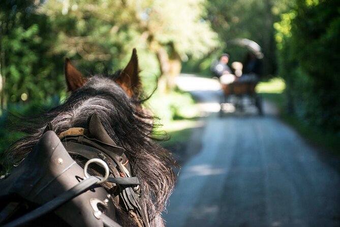 Private Jaunting Tour and Afternoon Tea in Killarney - The Lakes of Killarney and the best views from the carriage
